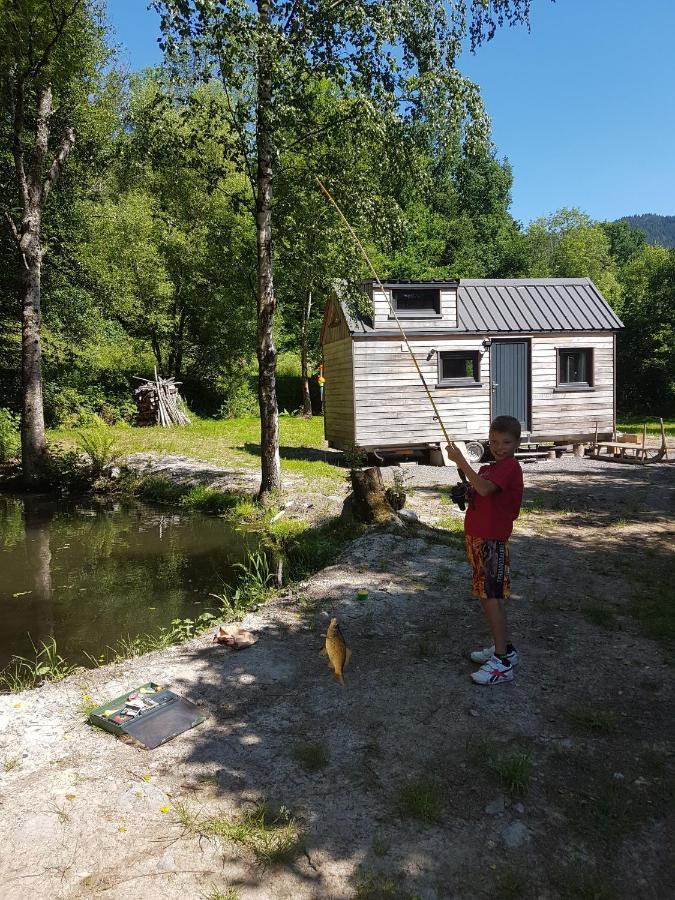 Insolite Tiny House Serenite Bien Etre Ban-sur-Meurthe-Clefcy Exteriör bild