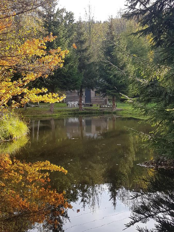 Insolite Tiny House Serenite Bien Etre Ban-sur-Meurthe-Clefcy Exteriör bild