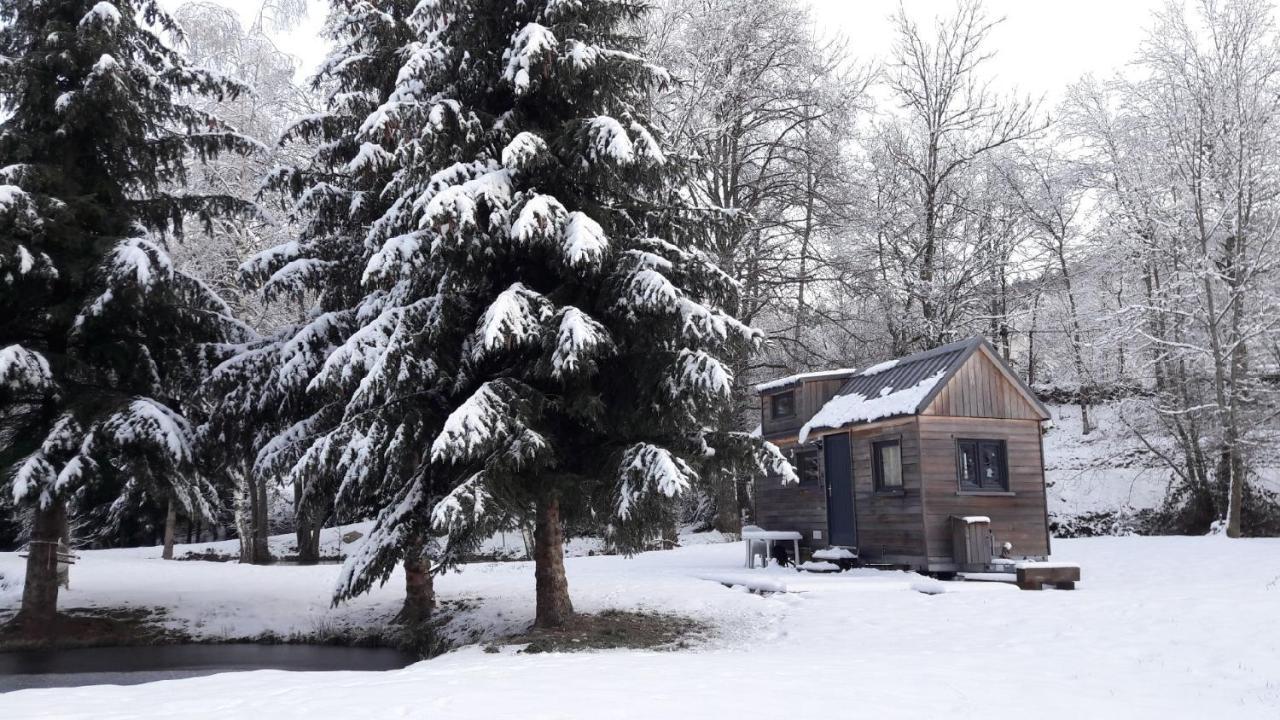 Insolite Tiny House Serenite Bien Etre Ban-sur-Meurthe-Clefcy Exteriör bild