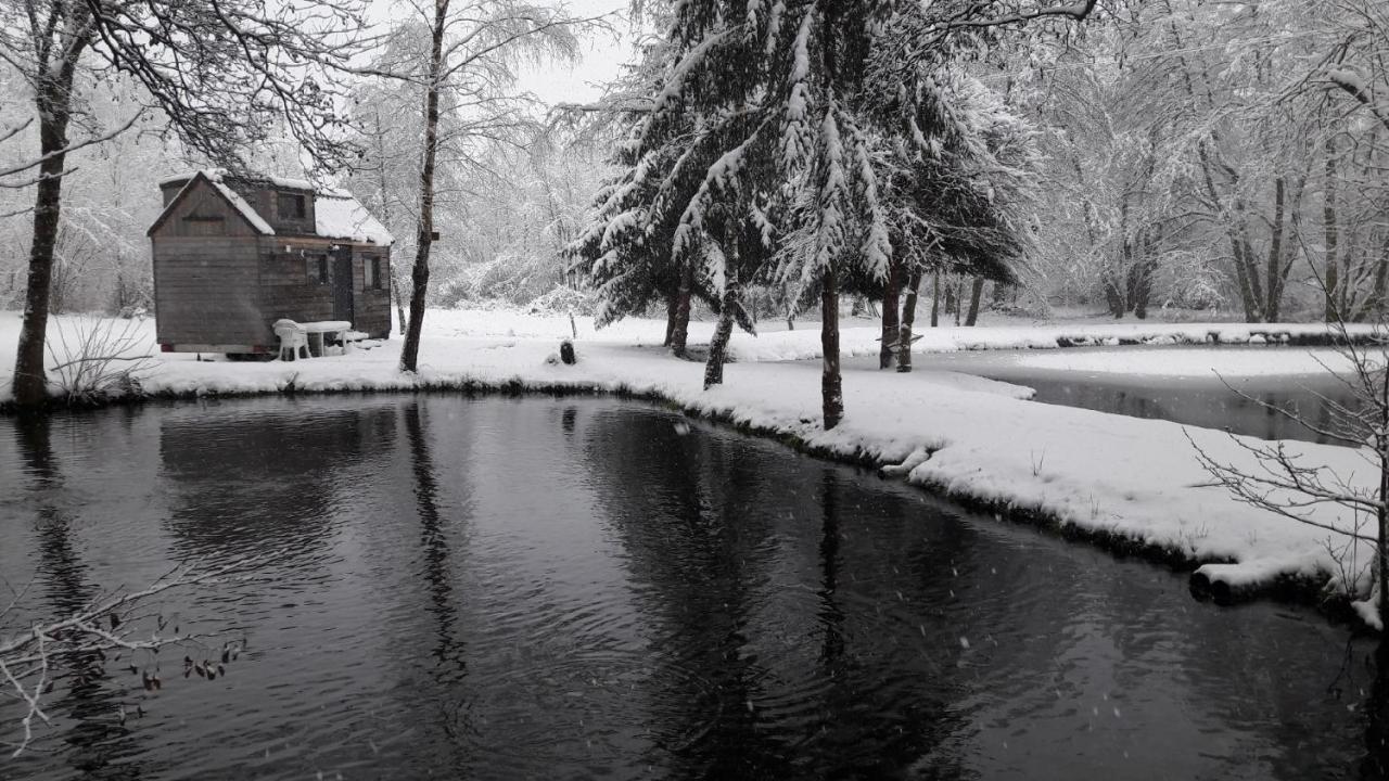Insolite Tiny House Serenite Bien Etre Ban-sur-Meurthe-Clefcy Exteriör bild