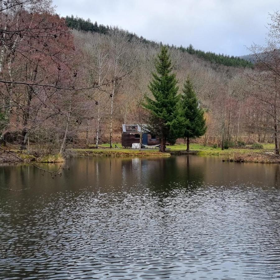 Insolite Tiny House Serenite Bien Etre Ban-sur-Meurthe-Clefcy Exteriör bild