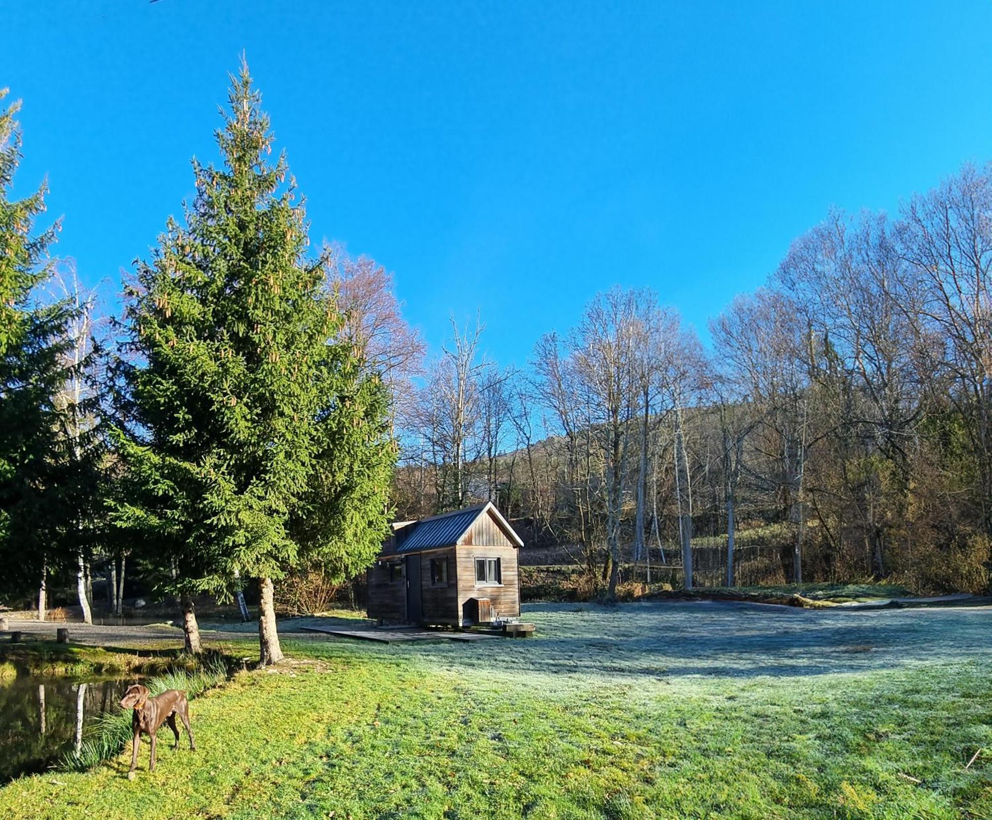Insolite Tiny House Serenite Bien Etre Ban-sur-Meurthe-Clefcy Exteriör bild